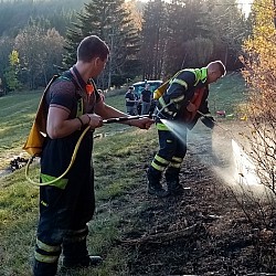 Lesné požiare