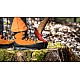 Protector Forest 2.1 GTX orange Protector Forest 2.1 GTX orange