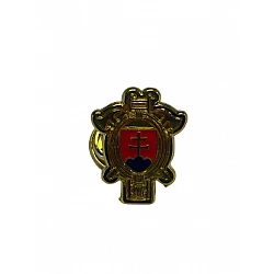 Logo DPO SR pin