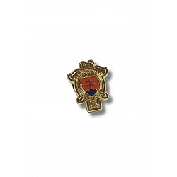 Logo DPO SR pin