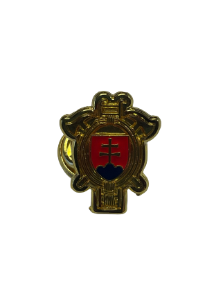 Logo DPO SR pin