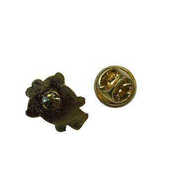 Logo DPO SR pin